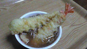 �N�z������