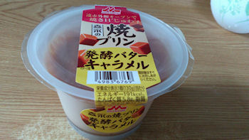 �X�i �v����