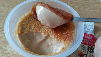 �X�i �v����