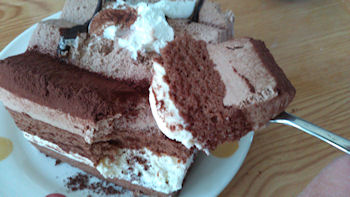 �V���g���[�[ �o�����^�C���f�[