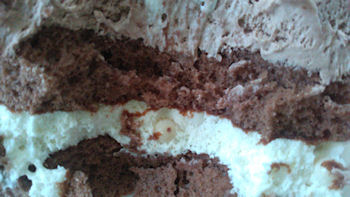 �V���g���[�[ �o�����^�C���f�[